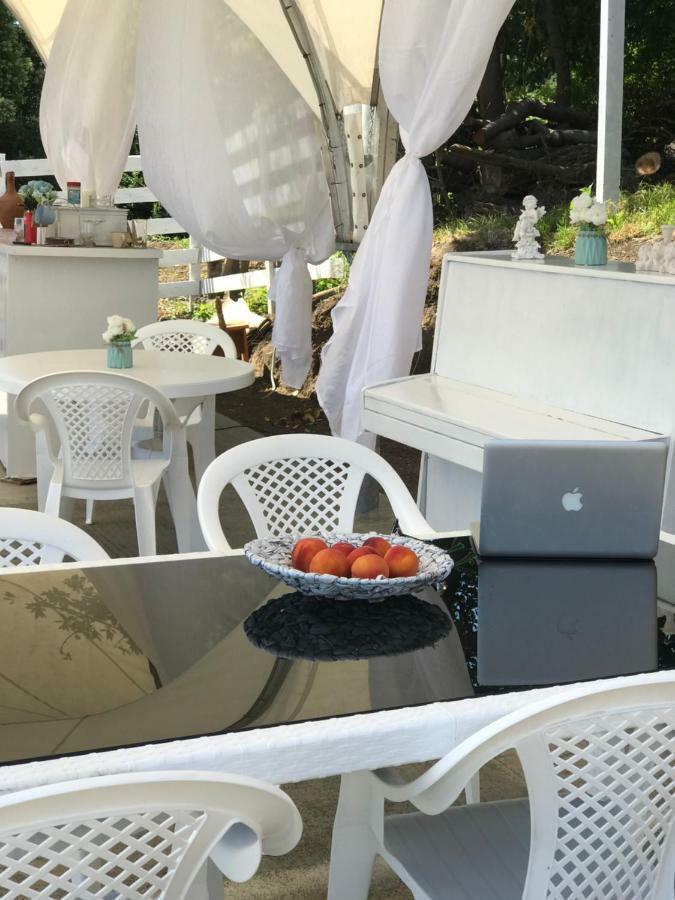 Palm Hotel New Athos Екстериор снимка